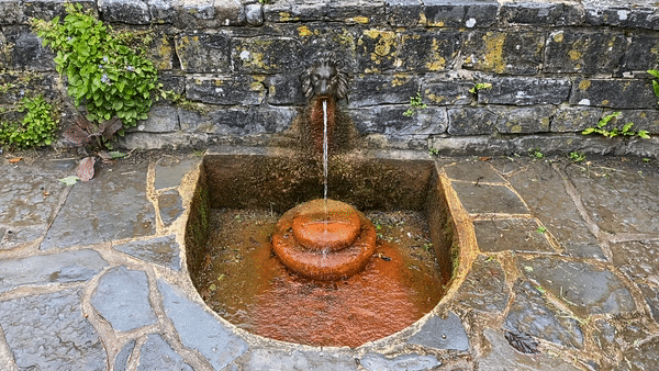 chalice well