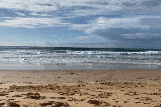 ocean water sydney