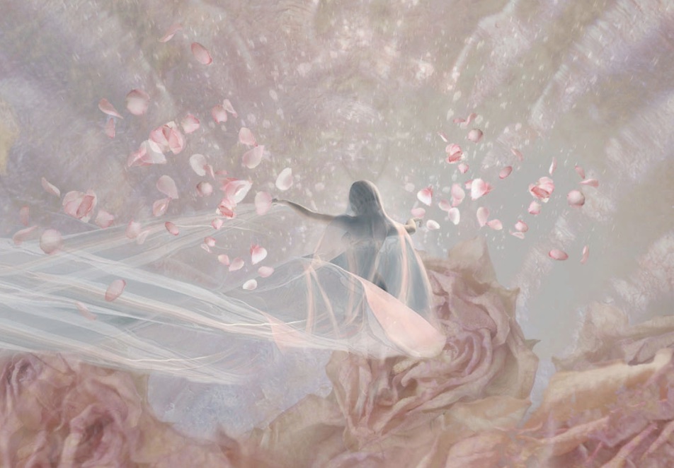 release the petals_the rose oracle_rebecca campbell