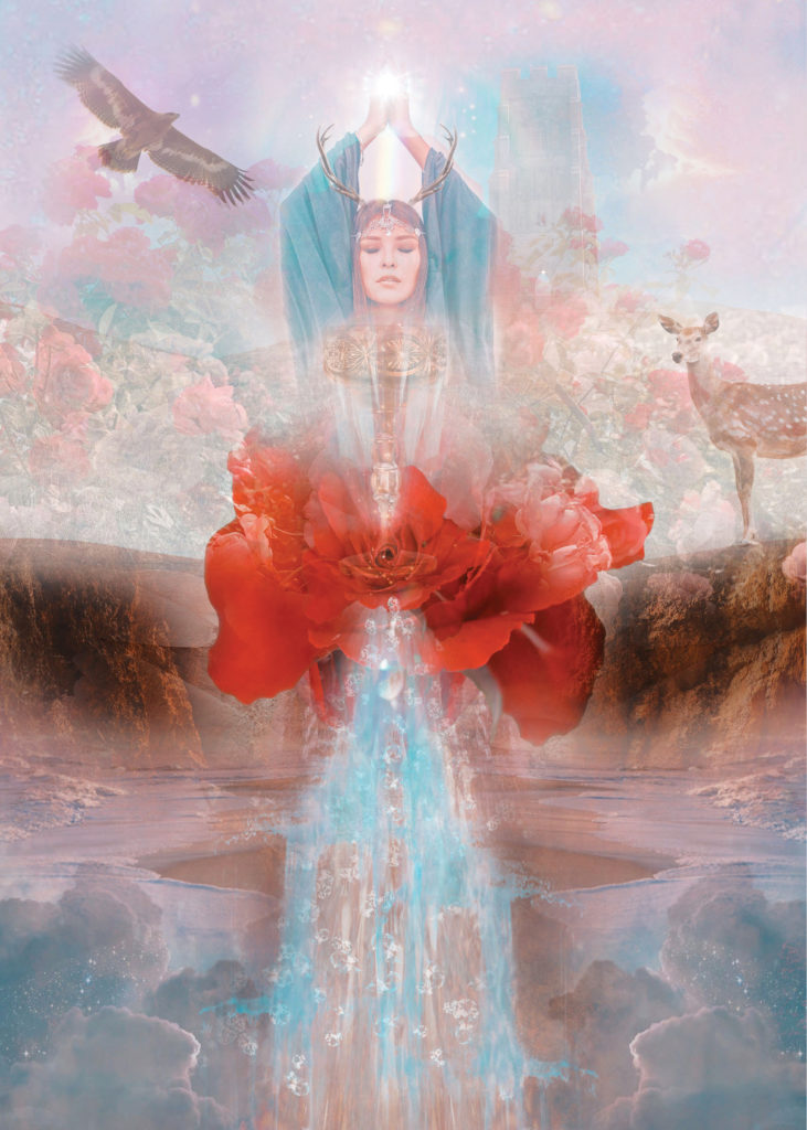 holy grail, the rose oracle