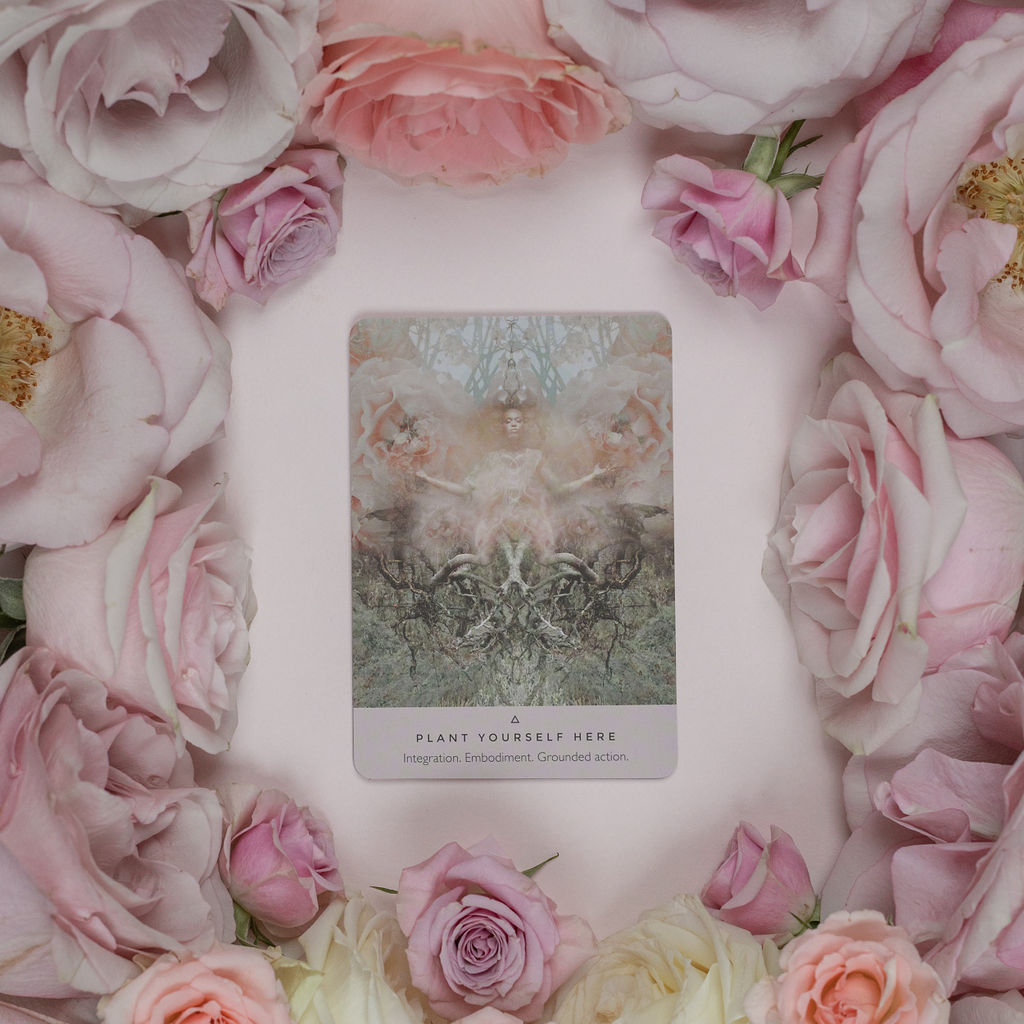 plant yourself here the rose oracle